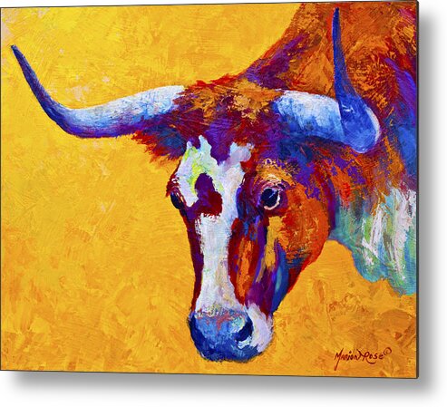 Longhorn Metal Print featuring the painting Texas Longhorn Cow Study by Marion Rose