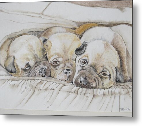 Puppies Metal Print featuring the pastel The 3 puppies by Teresa Smith