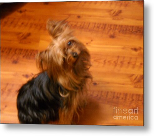 Dogs Metal Print featuring the photograph The Boss by Leslie Revels