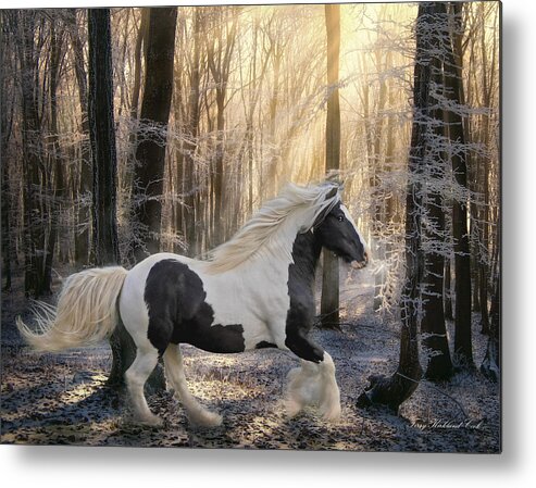 Equine Metal Print featuring the digital art The Crystal Morning by Terry Kirkland Cook