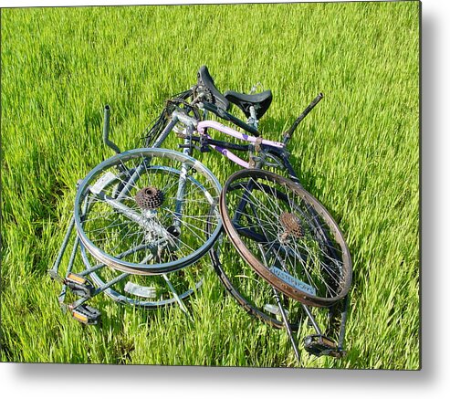 Bicycle Metal Print featuring the sculpture The First Heat by Steve Mudge