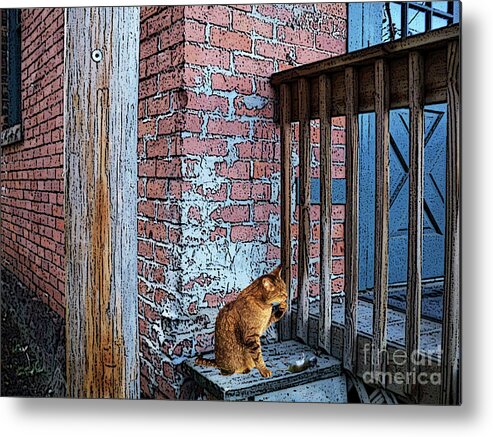 Cat Metal Print featuring the photograph The Gift by Desiree Paquette