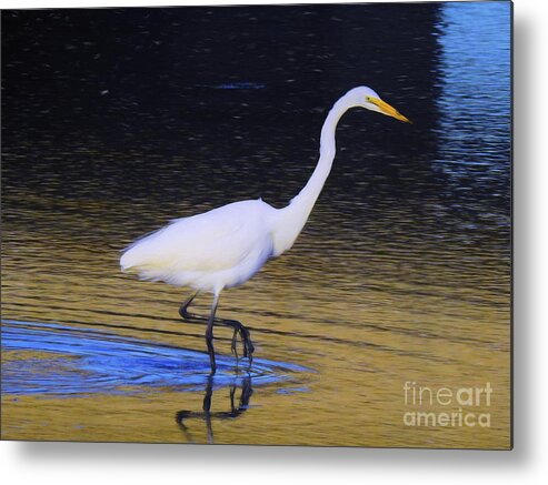 Great White Egret Metal Print featuring the photograph The Hunt by Scott Cameron