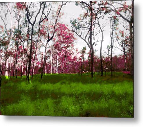 Colour Metal Print featuring the photograph The Nature Of Colour by Michael Blaine