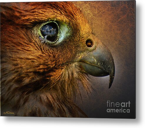 Bird Metal Print featuring the photograph The one that got away by Kira Bodensted