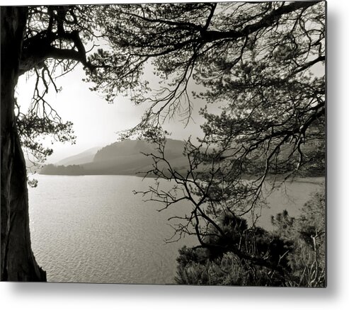 Trees Metal Print featuring the photograph The Pentland hills through the branches. by Elena Perelman