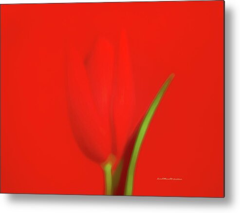 Art Metal Print featuring the digital art The Red Tulip Art Photograph by Miss Pet Sitter