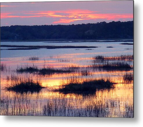 Sunset Metal Print featuring the photograph The Sky is on Fire by Rick Locke - Out of the Corner of My Eye
