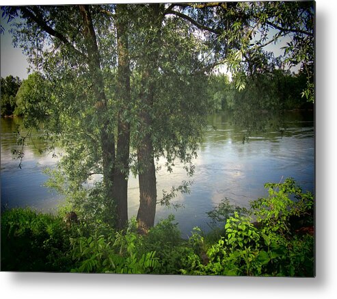 Trees Metal Print featuring the photograph Through The Trees by Vesna Martinjak