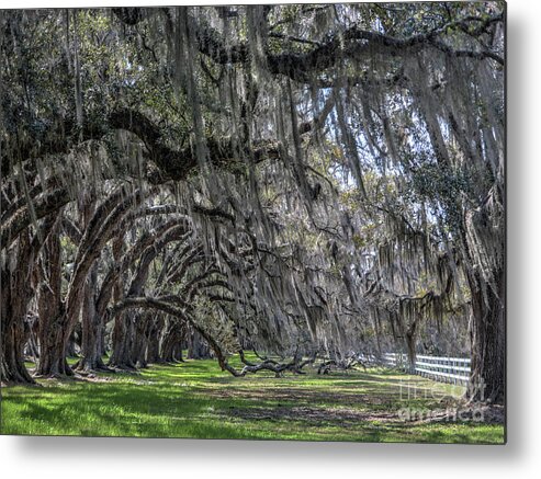  Metal Print featuring the photograph Tomotley Plantation Arches by ELDavis Photography