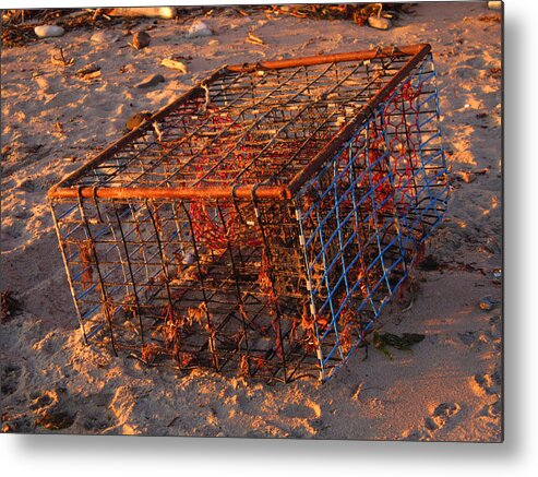  Metal Print featuring the photograph Trap by Steve Fields