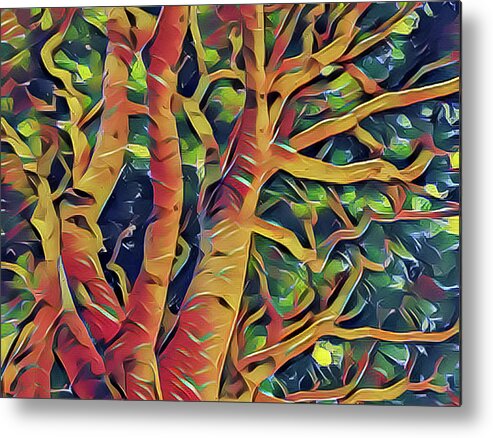 Abstract Metal Print featuring the photograph Tree by Jonathan Nguyen