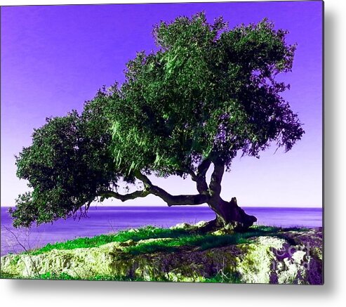Tree Metal Print featuring the photograph Tree of Life - 2 by Tap On Photo