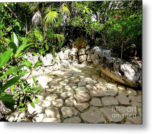 Stone Pave Metal Print featuring the photograph Tropical hiding spot by Francesca Mackenney