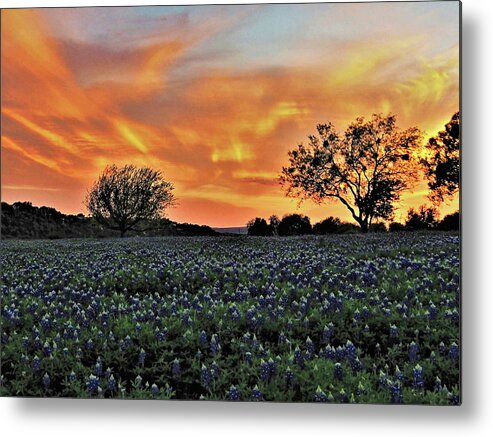 Sunset Metal Print featuring the photograph Turkey Bend sunset by Jerry Connally