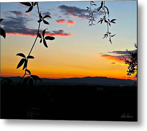 Italy Metal Print featuring the photograph Tuscan Sunset by Diana Haronis