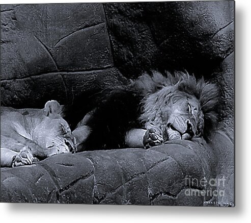 Mona Stut Metal Print featuring the photograph Twosome Relaxing BW by Mona Stut