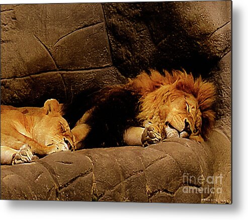 Mona Stut Metal Print featuring the photograph Twosome Relaxing by Mona Stut