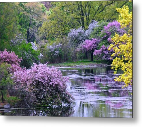 Spring Metal Print featuring the photograph Under Spring's Spell by Living Color Photography Lorraine Lynch