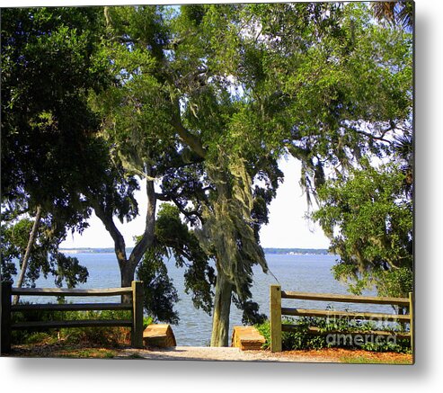Tampa Metal Print featuring the photograph View of Old Tampa Bay by Terri Mills