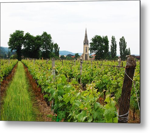 Vineyard Metal Print featuring the photograph Vineyard in France by Marion McCristall