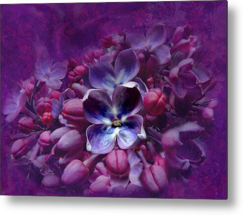 Hovind Metal Print featuring the photograph Violet Lilac by Scott Hovind