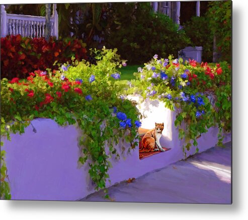 Cats Metal Print featuring the painting Waiting for Friends by David Van Hulst