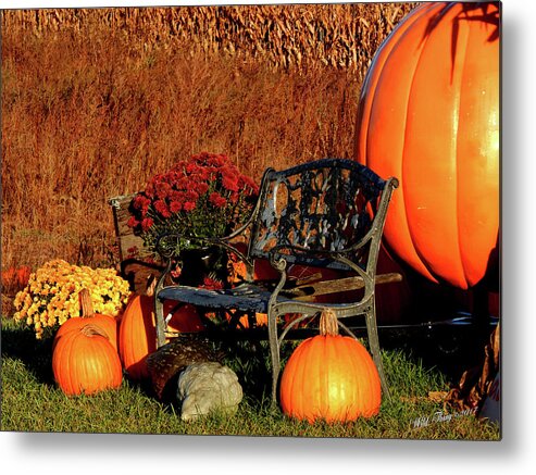 Autumn Metal Print featuring the photograph Waiting for the Great Pumpkin by Wild Thing