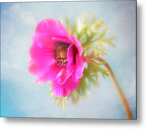 Anemone Metal Print featuring the photograph Walking the ramp. by Usha Peddamatham