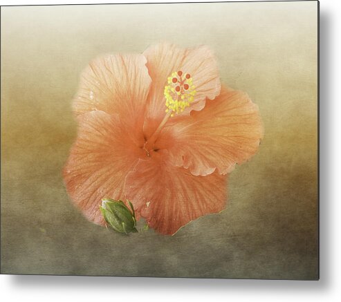Hibiscus Metal Print featuring the photograph Warm Hibiscus by Judy Hall-Folde