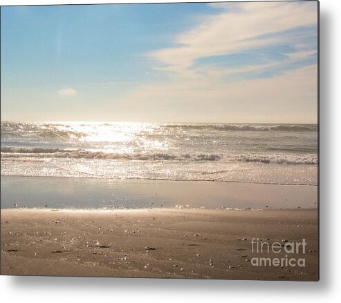 Blue Metal Print featuring the photograph Warm Sunlight by Toni Somes