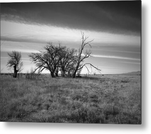 Black And White Metal Print featuring the photograph Wasteland by Brad Hodges