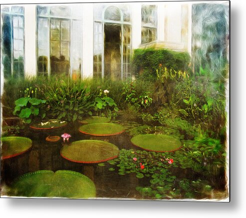 Water Lilies Metal Print featuring the photograph Water Lily Pond by John Rivera