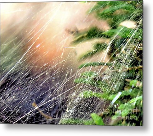 Spider Web Metal Print featuring the photograph Web Design by Janice Drew