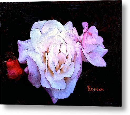 Roses Metal Print featuring the photograph White - Pink Roses by A L Sadie Reneau
