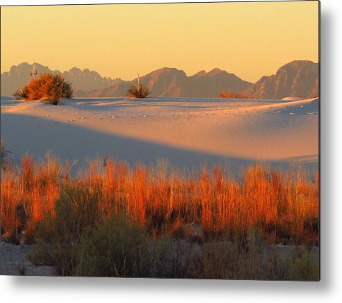 San Andres Mountains Metal Print featuring the photograph White Sands Dawn #28 by Cindy McIntyre