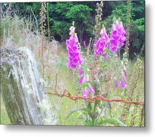 Wildflowers Metal Print featuring the photograph Wild Foxgloves by the Fence by Carol Riddle