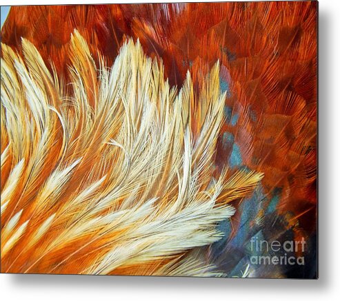 Roosters Metal Print featuring the photograph Wild Rooster Feather Abstract by Jan Gelders