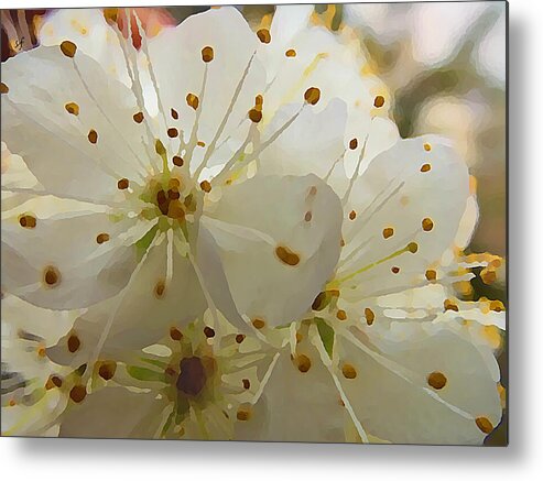 Flowers Metal Print featuring the mixed media Wild Sand Plum by Shelli Fitzpatrick