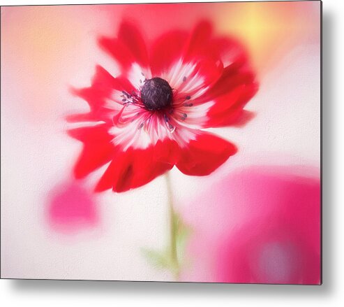 Flower Metal Print featuring the photograph Windflower in spring by Usha Peddamatham