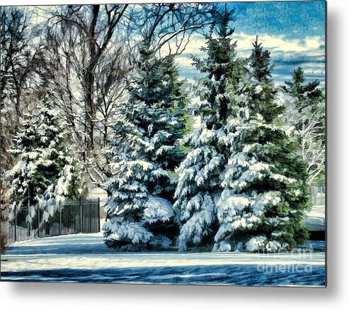 Snow Metal Print featuring the photograph Winter In New England by Judy Palkimas