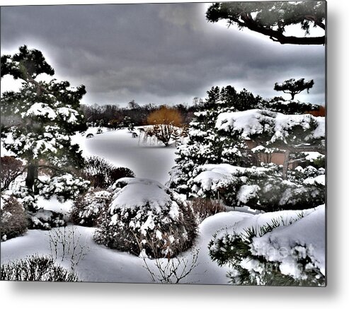 Winter Metal Print featuring the photograph Winter in the garden by David Bearden
