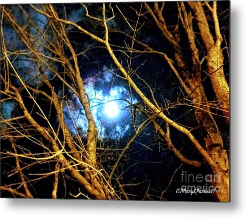 Photograph Metal Print featuring the photograph Winter Night Sky by MaryLee Parker