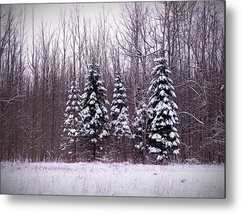 Winter Metal Print featuring the photograph Winter White Magic by Leslie Montgomery