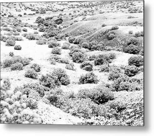 Landscapes Metal Print featuring the photograph Wintry Day in the High Mountain Desert by Mary Lee Dereske