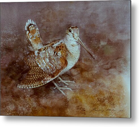 Woodcock Metal Print featuring the painting Woodcock by Attila Meszlenyi