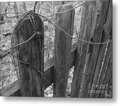 Fence Metal Print featuring the photograph Wooden Fence by Jeff Breiman