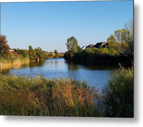 Pond Metal Print featuring the photograph Woodland Pond by Vic Ritchey