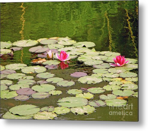 Lotus Metal Print featuring the photograph Xian Color Show by Nieves Nitta