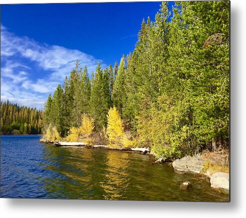 Aspens Metal Print featuring the photograph Golden Waters by Jennifer Lake